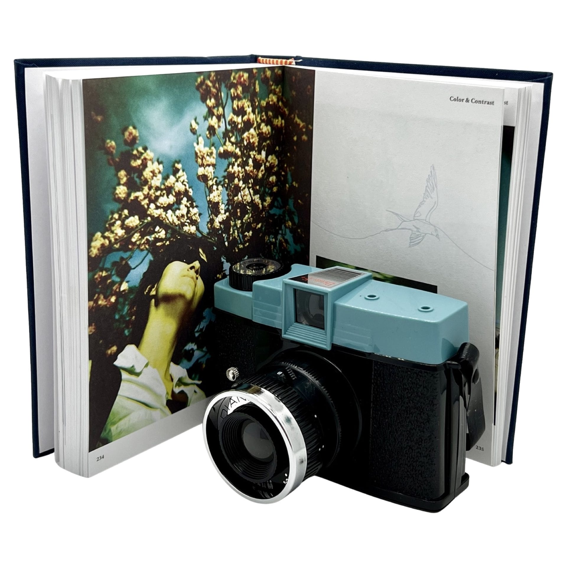 【在庫僅少】 Lomography Diana Revival Analogue - フィルムカメラ